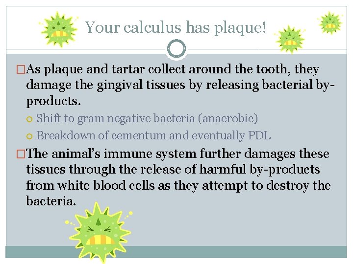 Your calculus has plaque! �As plaque and tartar collect around the tooth, they damage