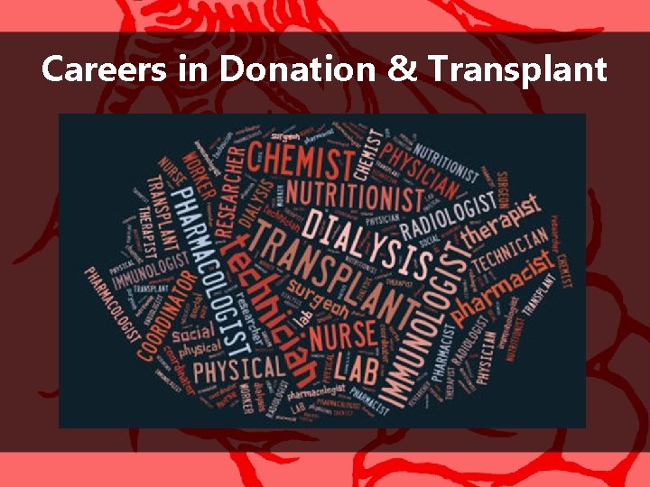 Careers in Donation & Transplant 