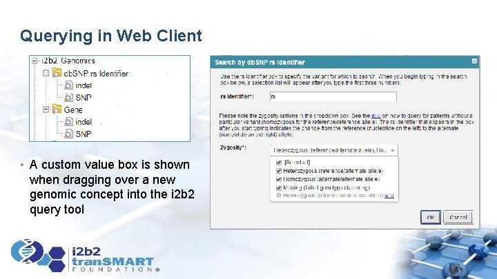 Querying in Web Client • A custom value box is shown when dragging over Querying in Web Client • A custom value box is shown when dragging over