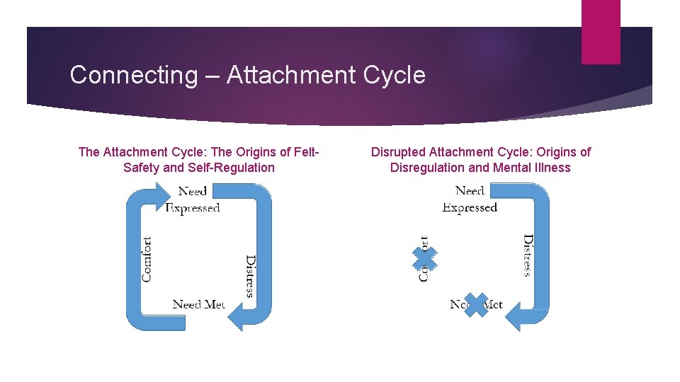 Connecting – Attachment Cycle The Attachment Cycle: The Origins of Felt. Safety and Self-Regulation