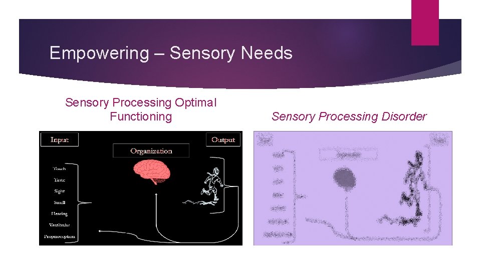 Empowering – Sensory Needs Sensory Processing Optimal Functioning Sensory Processing Disorder 