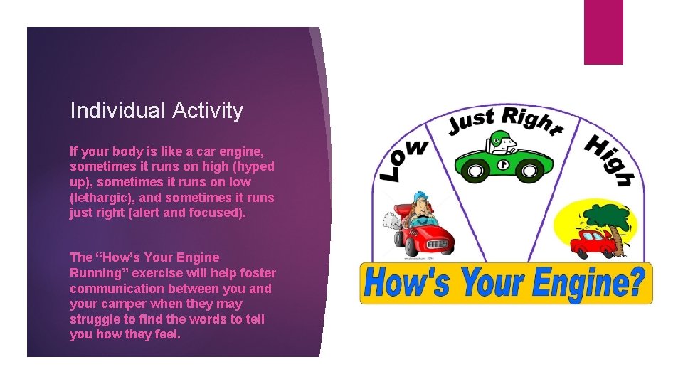 Individual Activity If your body is like a car engine, sometimes it runs on