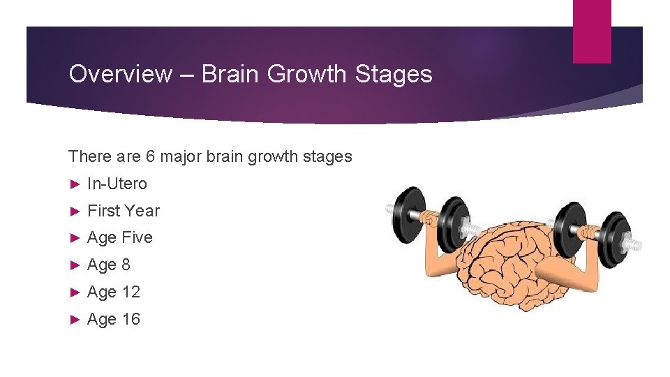 Overview – Brain Growth Stages There are 6 major brain growth stages ► In-Utero