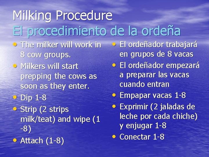 Milking Procedure El procedimiento de la ordeña • The milker will work in •