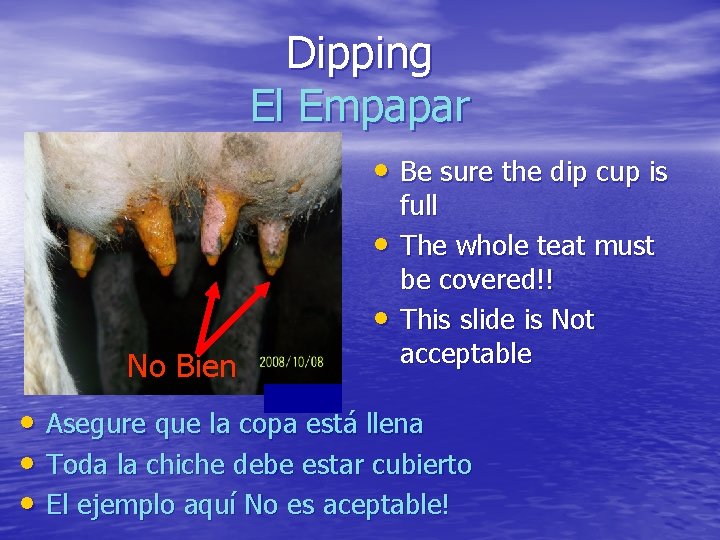 Dipping El Empapar • Be sure the dip cup is • • No Bien