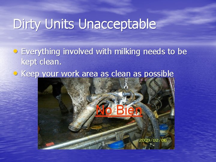 Dirty Units Unacceptable • Everything involved with milking needs to be • kept clean.