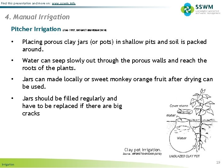 Find this presentation and more on: www. ssswm. info. 4. Manual Irrigation Pitcher Irrigation