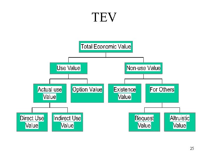 TEV 25 