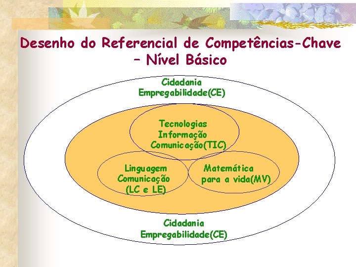 Desenho do Referencial de Competências-Chave – Nível Básico Cidadania Empregabilidade(CE) Tecnologias Informação Comunicação(TIC) Linguagem