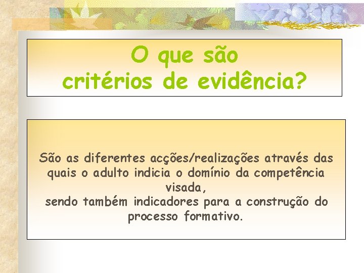 O que são critérios de evidência? São as diferentes acções/realizações através das quais o