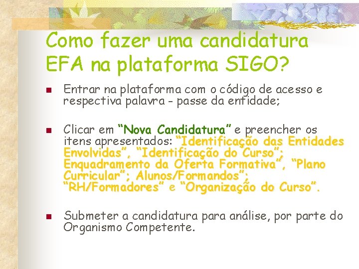 Como fazer uma candidatura EFA na plataforma SIGO? n n n Entrar na plataforma