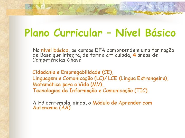 Plano Curricular – Nível Básico No nível básico, os cursos EFA compreendem uma formação