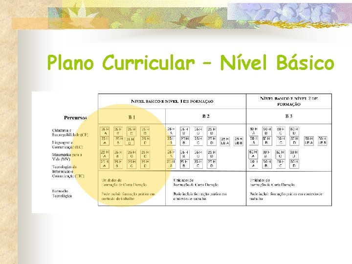 Plano Curricular – Nível Básico 