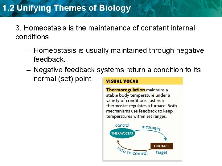 1. 2 Unifying Themes of Biology 3. Homeostasis is the maintenance of constant internal