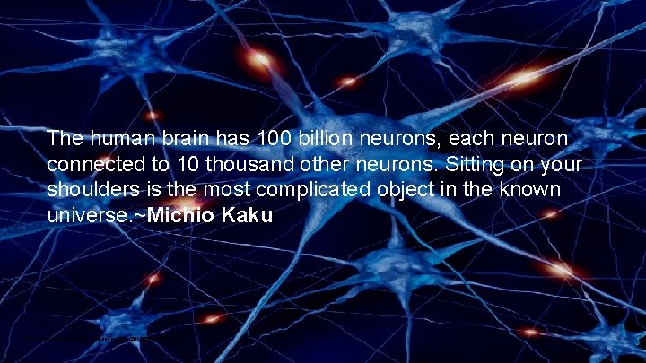 The human brain has 100 billion neurons, each neuron connected to 10 thousand other