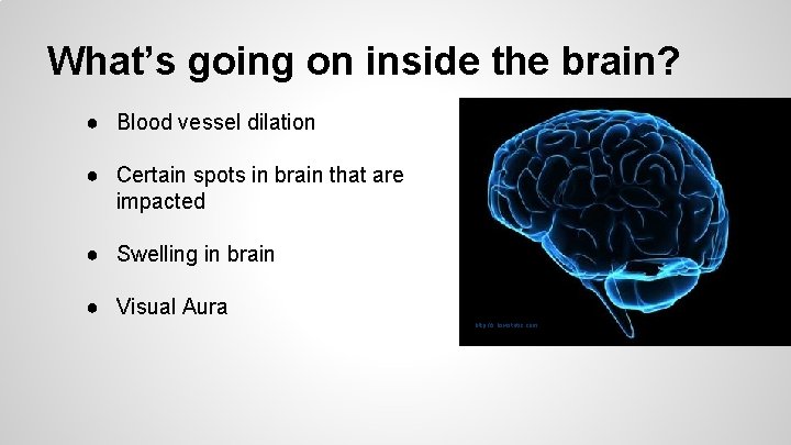 What’s going on inside the brain? ● Blood vessel dilation ● Certain spots in
