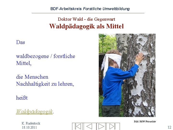 BDF-Arbeitskreis Forstliche Umweltbildung Doktor Wald - die Gegenwart Waldpädagogik als Mittel Das waldbezogene /