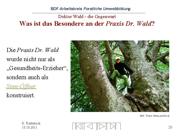 BDF-Arbeitskreis Forstliche Umweltbildung Doktor Wald - die Gegenwart Was ist das Besondere an der
