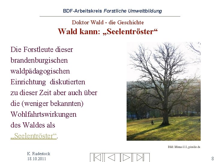 BDF-Arbeitskreis Forstliche Umweltbildung Doktor Wald - die Geschichte Wald kann: „Seelentröster“ Die Forstleute dieser