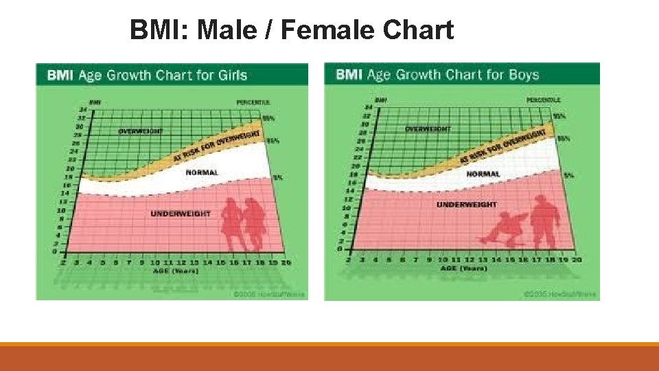 BMI: Male / Female Chart 