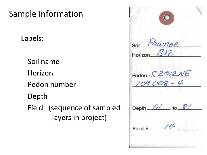 Sample Information Labels: Soil name Horizon Pedon number Depth Field (sequence of sampled layers