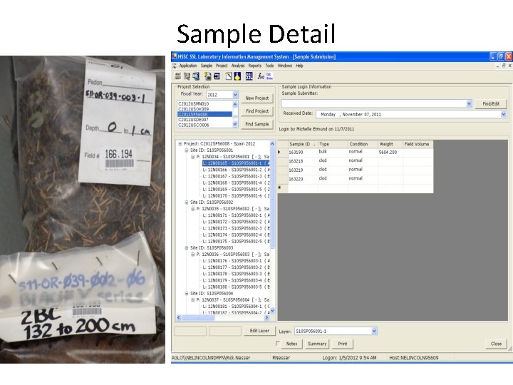 Sample Detail 