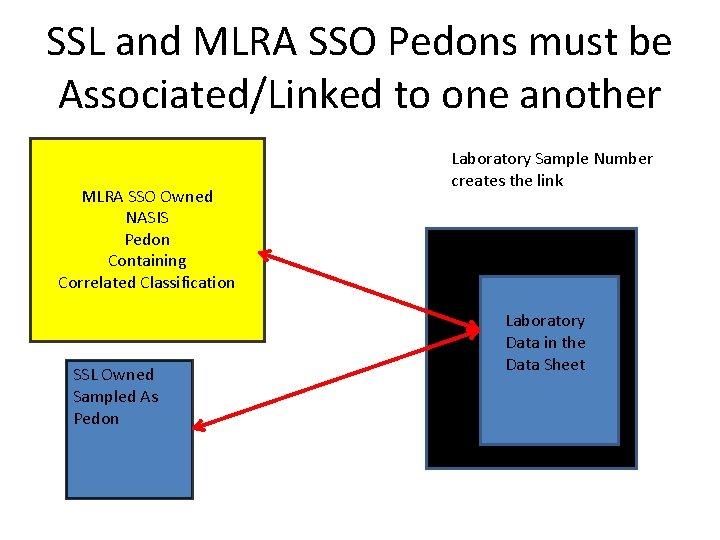 SSL and MLRA SSO Pedons must be Associated/Linked to one another MLRA SSO Owned