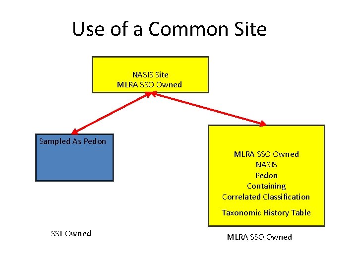 Use of a Common Site NASIS Site MLRA SSO Owned Sampled As Pedon MLRA
