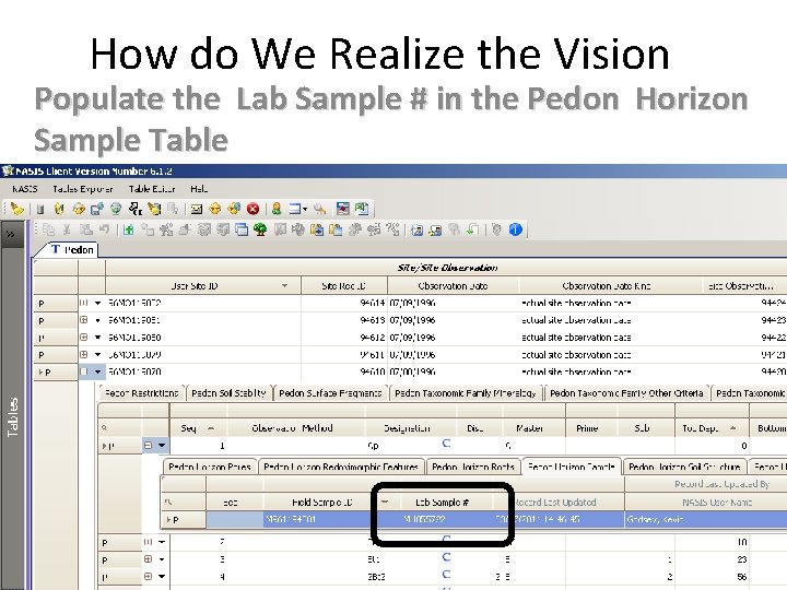 How do We Realize the Vision Populate the Lab Sample # in the Pedon