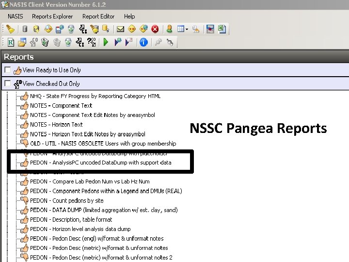 NSSC Pangea Reports 