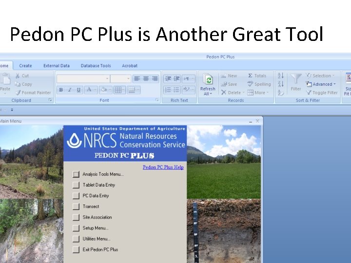 Pedon PC Plus is Another Great Tool 