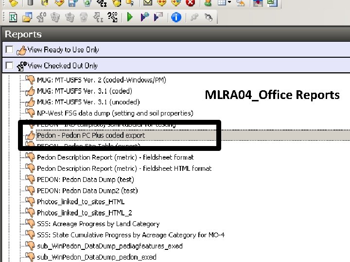 MLRA 04_Office Reports 