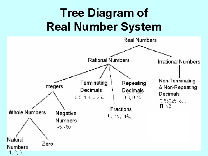 Tree Diagram of Real Number System 0. 5, 1. 4, 0. 256 0. 3,