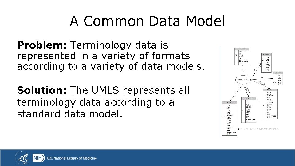 A Common Data Model Problem: Terminology data is represented in a variety of formats