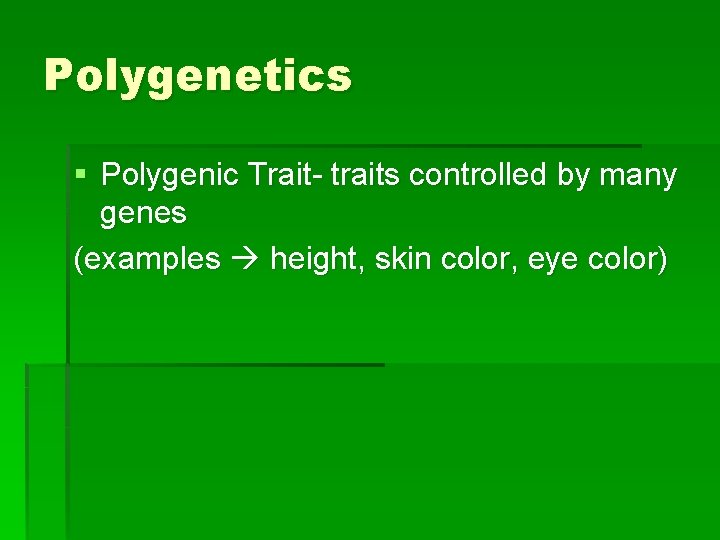 Polygenetics § Polygenic Trait- traits controlled by many genes (examples height, skin color, eye