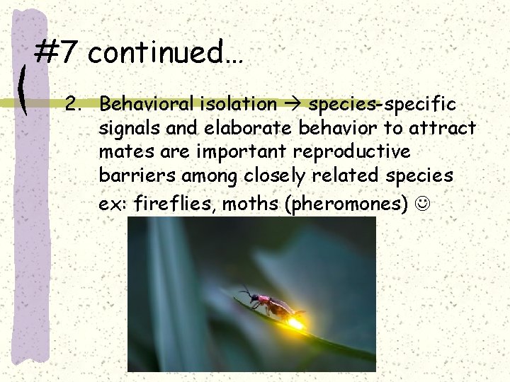 #7 continued… 2. Behavioral isolation species-specific signals and elaborate behavior to attract mates are