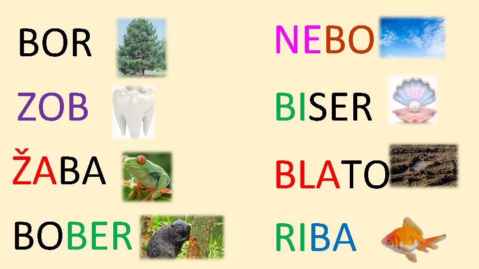 BOR ZOB ŽABA BOBER NEBO BISER BLATO RIBA 