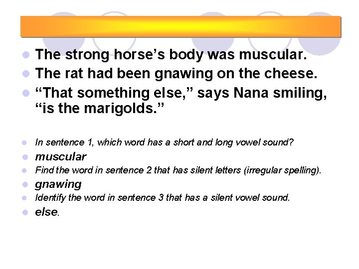 The strong horse’s body was muscular. l The rat had been gnawing on the