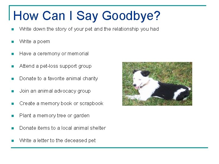How Can I Say Goodbye? n Write down the story of your pet and