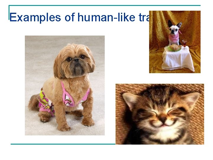 Examples of human-like traits 