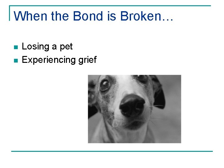 When the Bond is Broken… n n Losing a pet Experiencing grief 