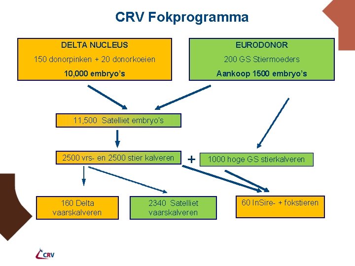 CRV Fokprogramma DELTA NUCLEUS EURODONOR 150 donorpinken + 20 donorkoeien 200 GS Stiermoeders 10,