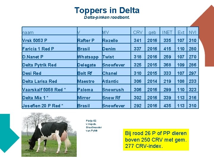 Toppers in Delta-pinken roodbont. naam V MV CRV geb INET Vrsk 5053 P Rafter