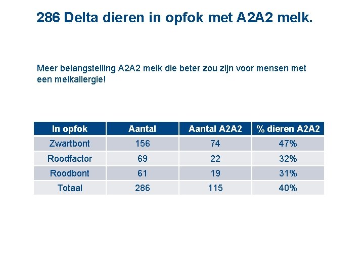 286 Delta dieren in opfok met A 2 A 2 melk. Meer belangstelling A