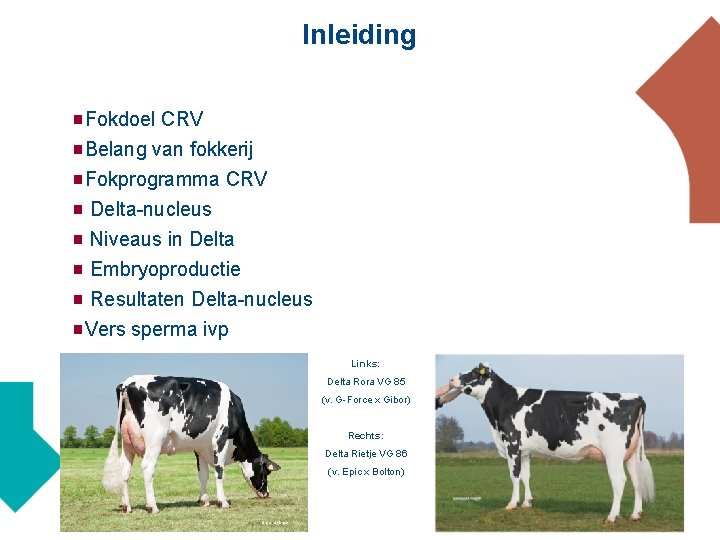 Inleiding Fokdoel CRV g. Belang van fokkerij g. Fokprogramma CRV g Delta-nucleus g Niveaus