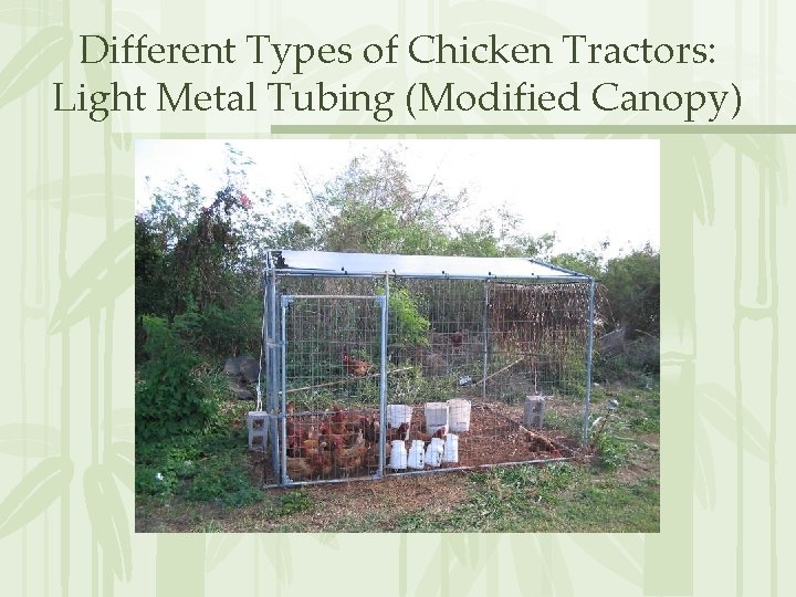 Different Types of Chicken Tractors: Light Metal Tubing (Modified Canopy) 