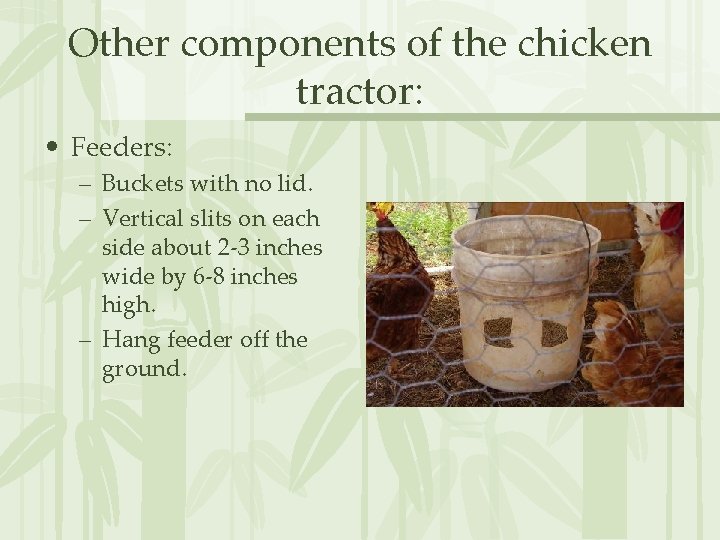 Other components of the chicken tractor: • Feeders: – Buckets with no lid. –