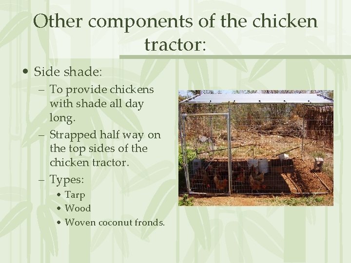 Other components of the chicken tractor: • Side shade: – To provide chickens with