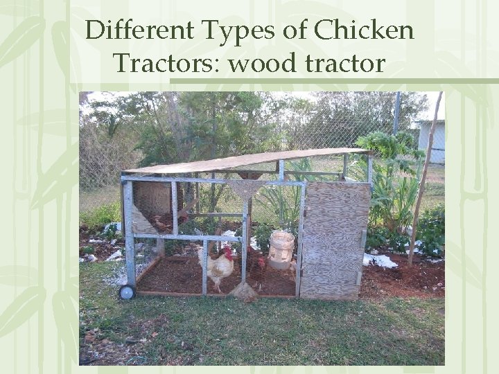 Different Types of Chicken Tractors: wood tractor 