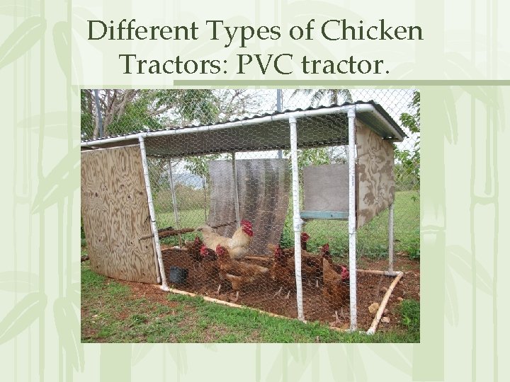 Different Types of Chicken Tractors: PVC tractor. 